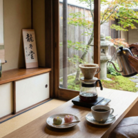 BRAZIL FAZENDA BAÚ TOMIO FUKUDA NATURAL